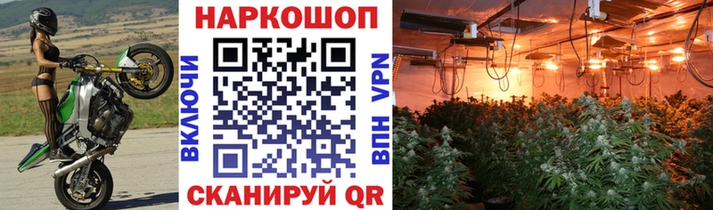 Купить закладку Галлюциногенные грибы  Мефедрон  ГАШИШ  МЕТАДОН  МАРИХУАНА  Дрезна