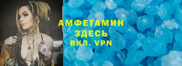 сатива Карпинск