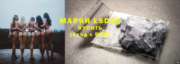 сатива Карпинск
