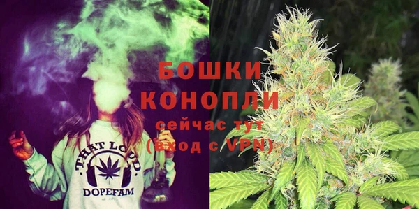 сатива Карпинск