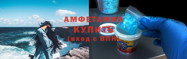 сатива Карпинск