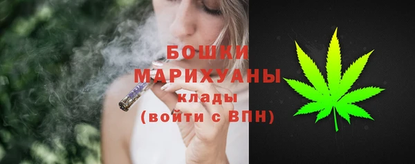 стафф Касимов