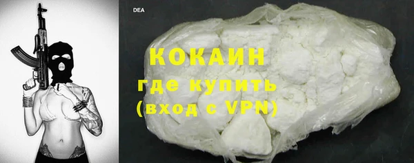 сатива Карпинск
