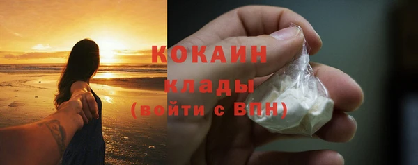 стафф Касимов