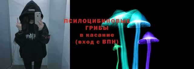сатива Карпинск