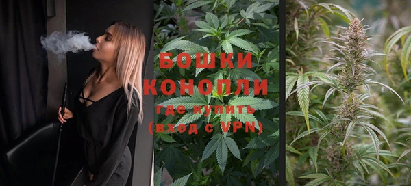 стафф Касимов