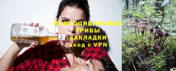 стафф Касимов