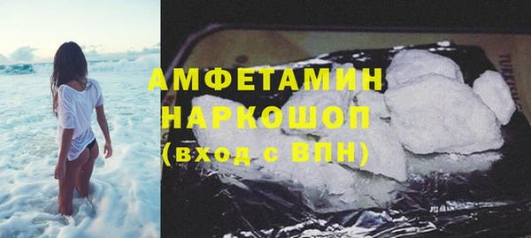сатива Карпинск
