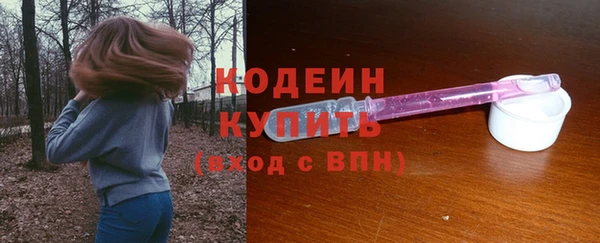стафф Касимов
