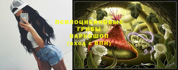 сатива Карпинск