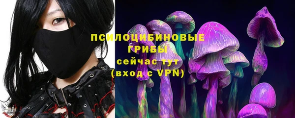 МДПВ Карталы