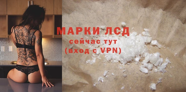 стафф Касимов