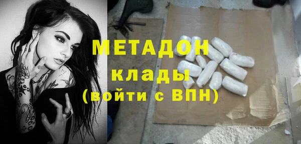 сатива Карпинск